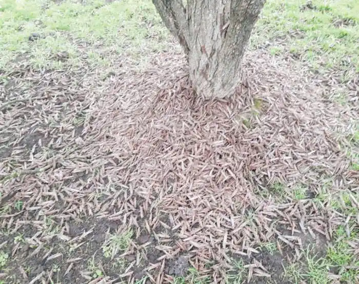 FARER aseguró que los operativos vienen siendo  exitosos y destacó la suma de voluntades en la lucha
