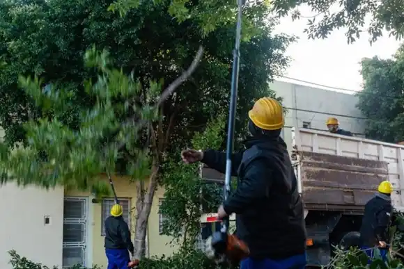 Varias calles con tránsito interrumpido por árboles caídos en Rosario