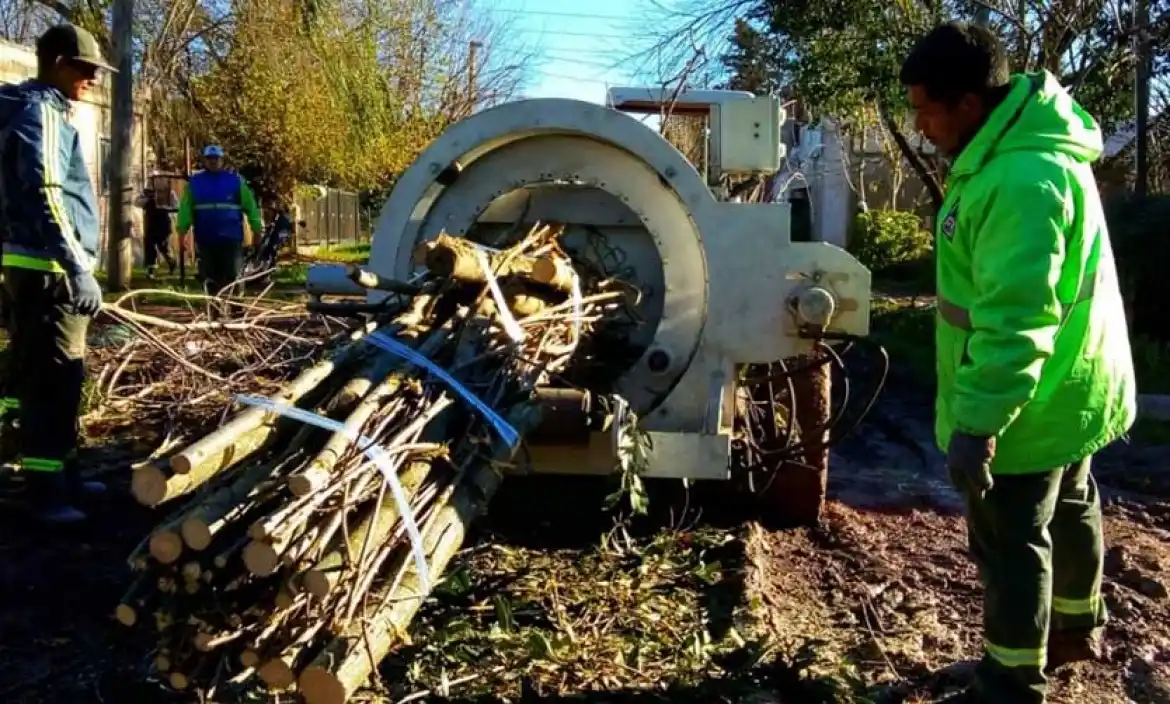 La Comuna creará un centro de tratamiento de restos de poda y escombros