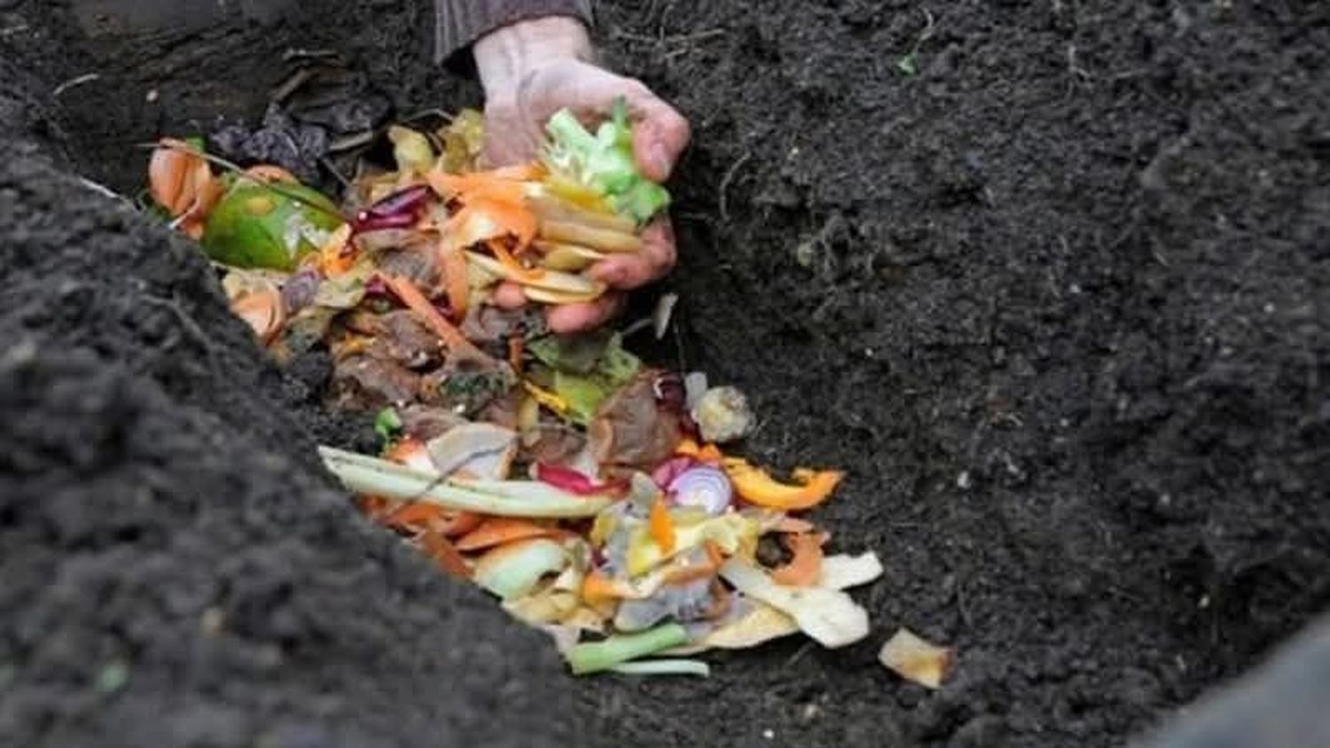Compostaje en zanjas: una forma fácil y ecológica de mejorar tu jardín