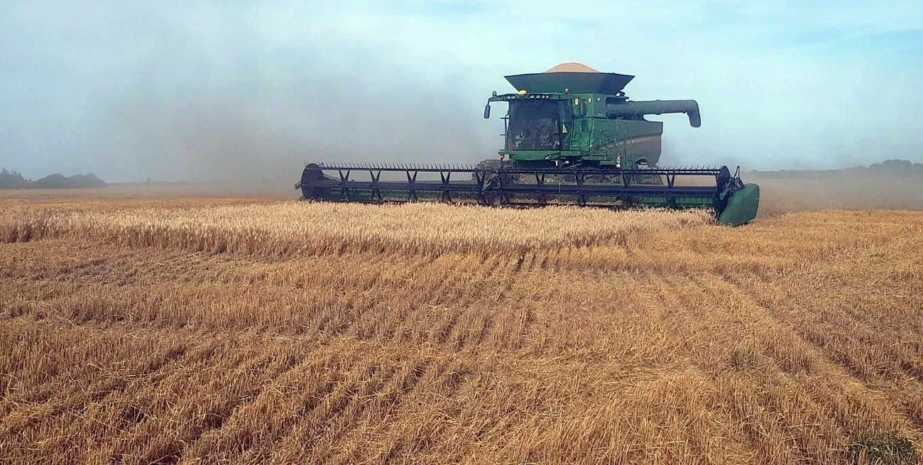 La producción agrícola fue uno de los motores de la recuperación.