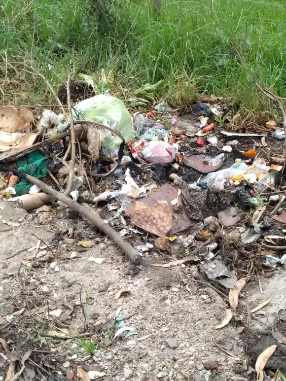 Piden limpieza de microbasurales en el barrio Belisario Roldán