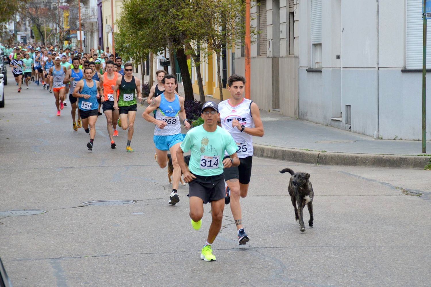 Luis Barrio se impuso en una prueba atlética solidaria