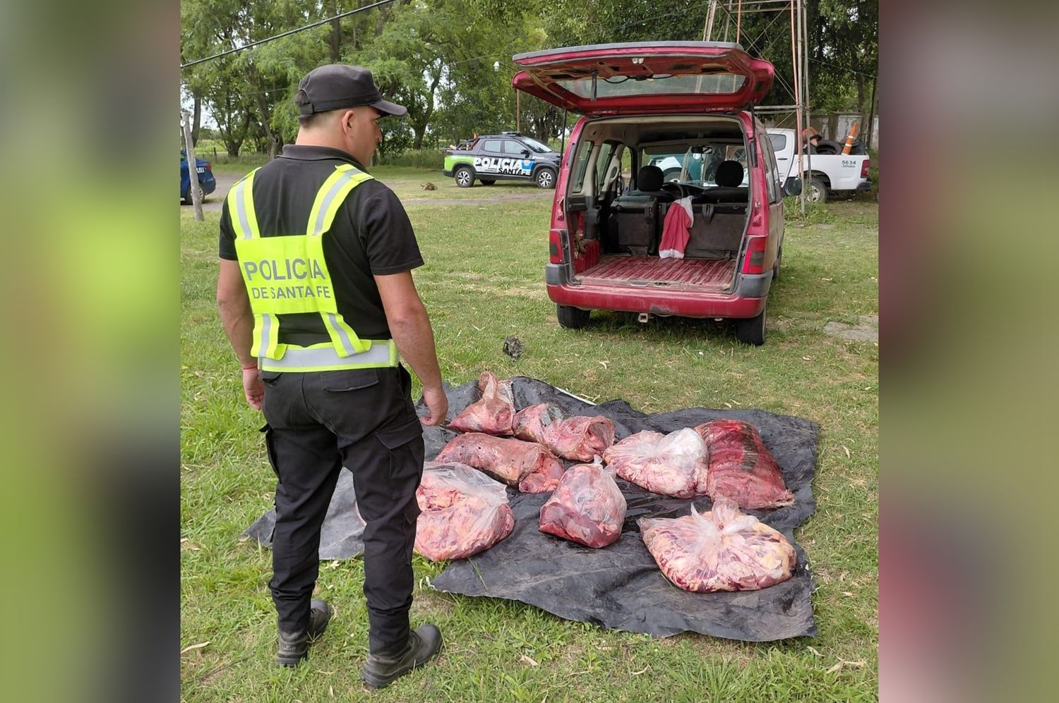 Incautaron cerca de 200 kilos de carne vacuna de dudosa procedencia en un control sobre la Ruta 19