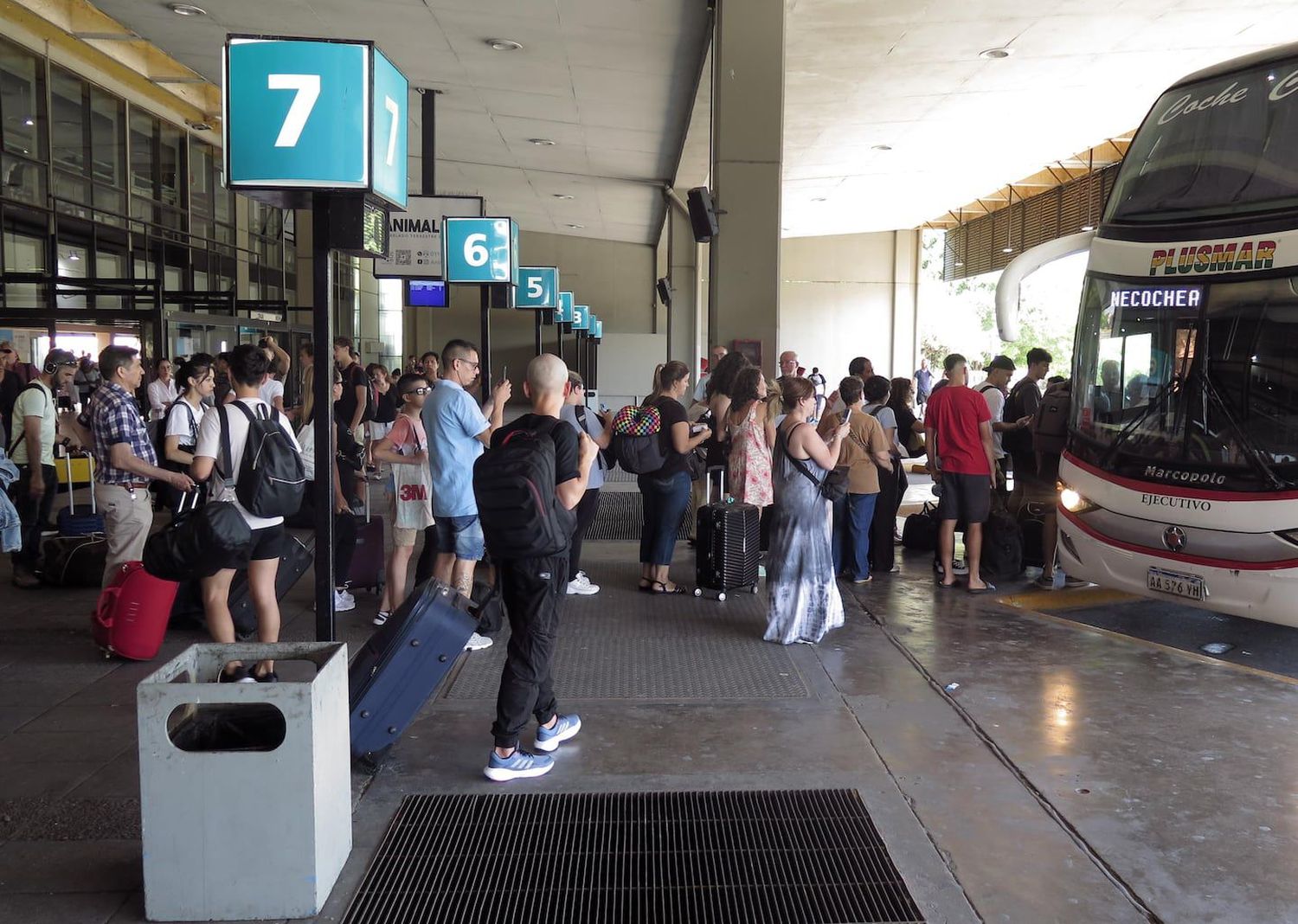 Desregulación del transporte