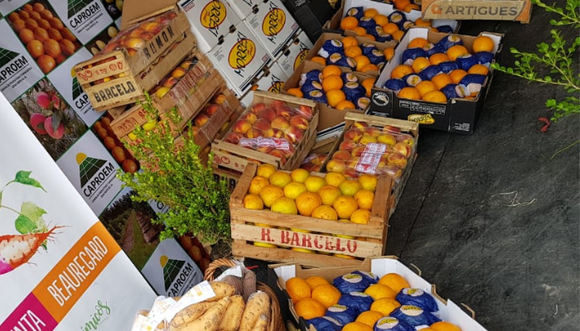 San Pedro en Expoagro: habrá stand con productores y empresas locales