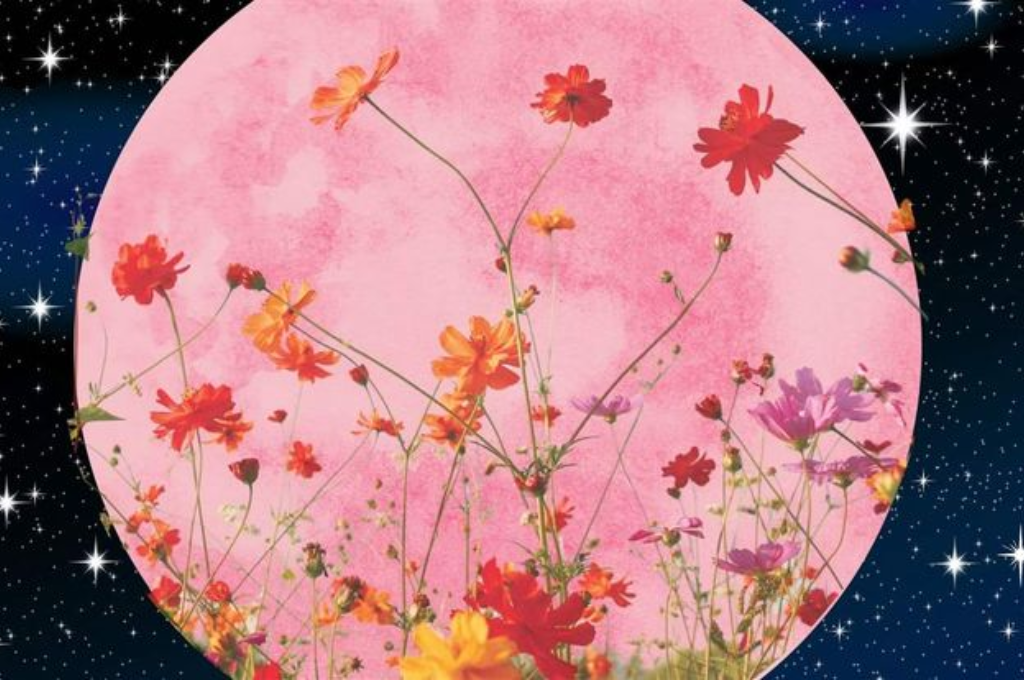 La luna llena de Flores se puede observar en todo el mundo, siempre que el cielo esté despejado.
