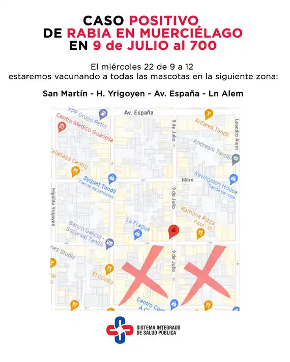 Se activará el protocolo de vacunación por un nuevo caso de rabia en murciélago