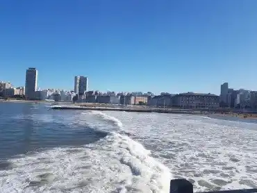 El perro loco y la orilla