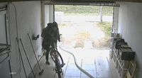 Así hurtaban una bicicleta a plena luz del día en Tandil