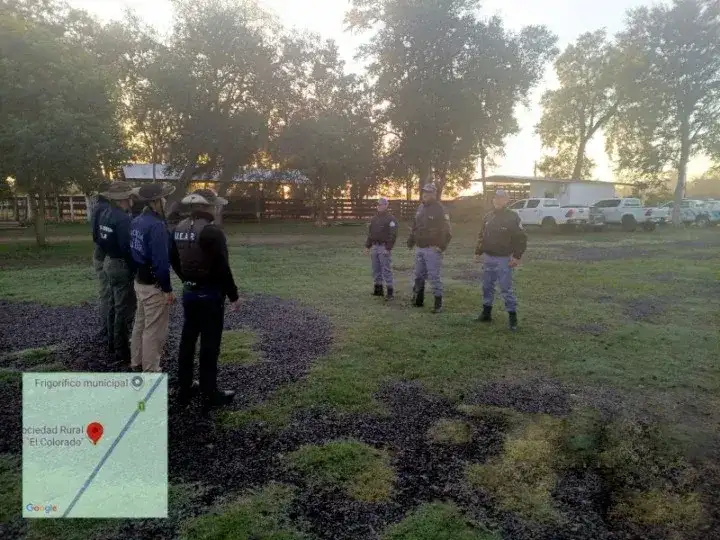 El Colorado: fuerte operativo de la Uear ante un masivo remate de 1.500 vacunos