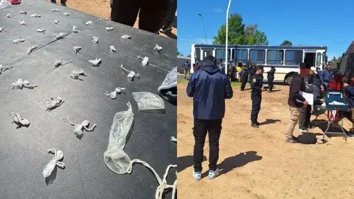 Una mujer metió cocaina en un preservativo y lo ocultó en su vagina