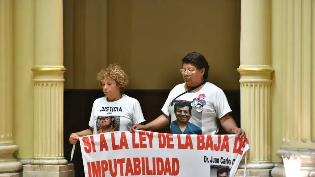 Régimen Penal Juvenil: Milei promulgó la ley que fija la imputabilidad en 14 años