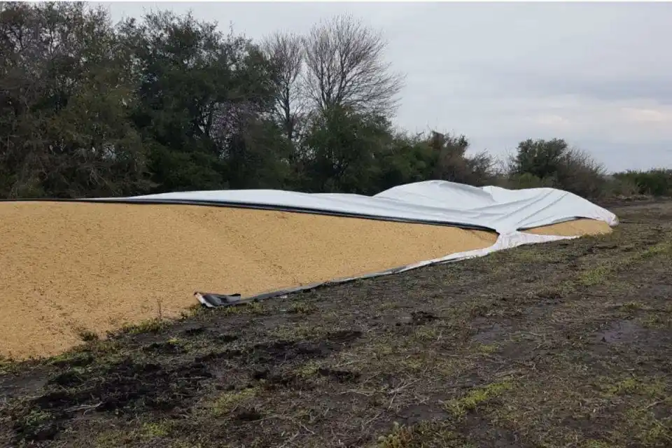 Ataques a silobolsas: el campo cuestionó a la Policía por las declaraciones de Maslein