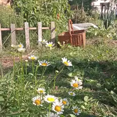 Taller de Huerta Urbana Agroecológica: cultivar sin veneno desde cero