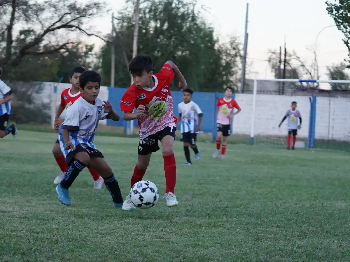 Programaron la octava fecha del Torneo Apertura