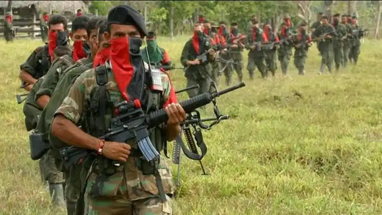La guerrilla se apoderó de 15 fincas en territorio de Venezuela