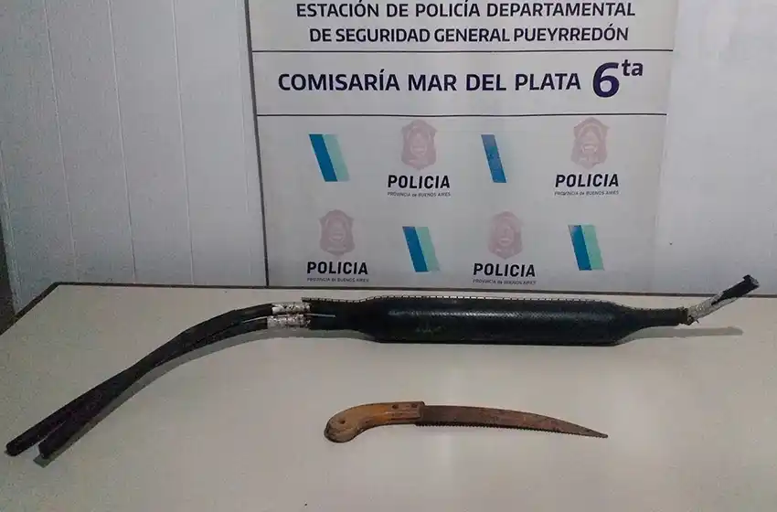 Escalaron un árbol y robaron un transformador