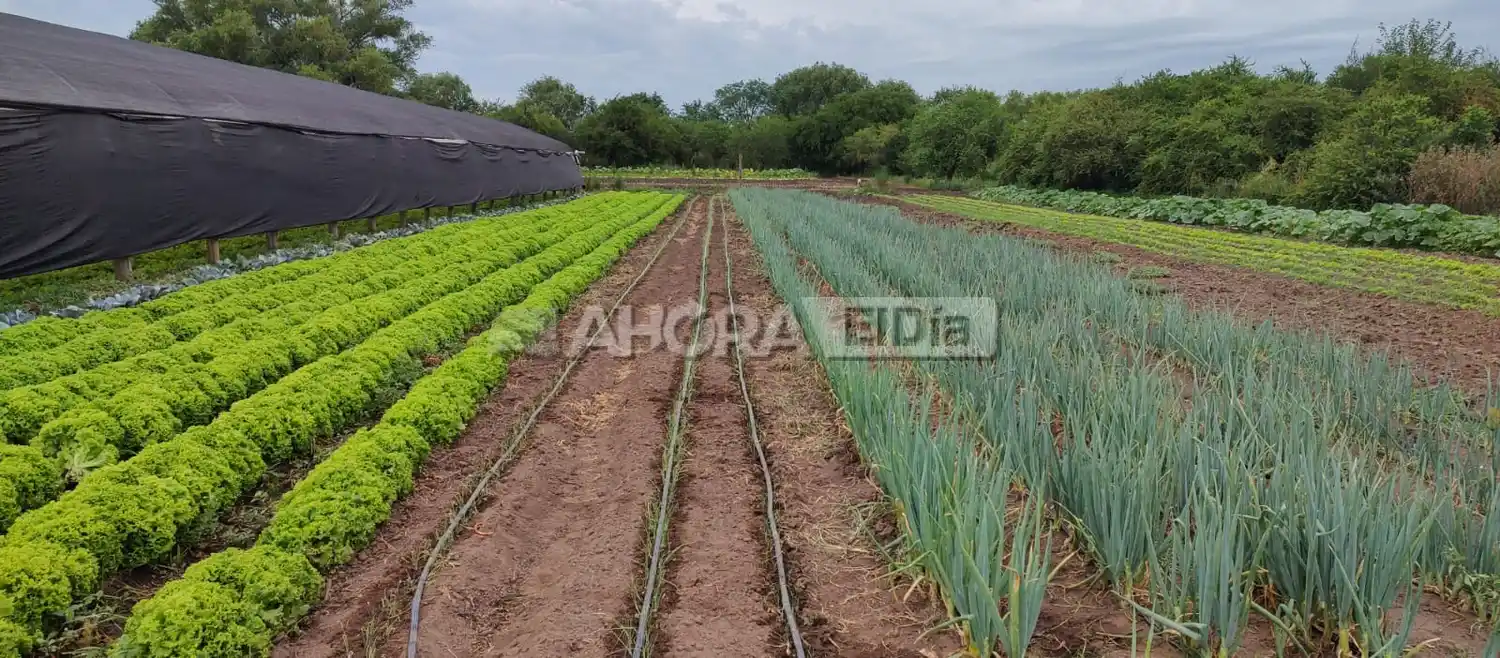 alimentos agroecológicos - 3