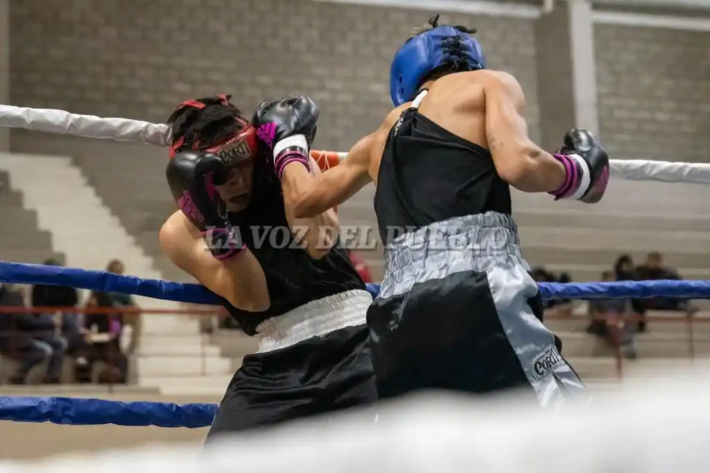 boxeo polideportivo - 8