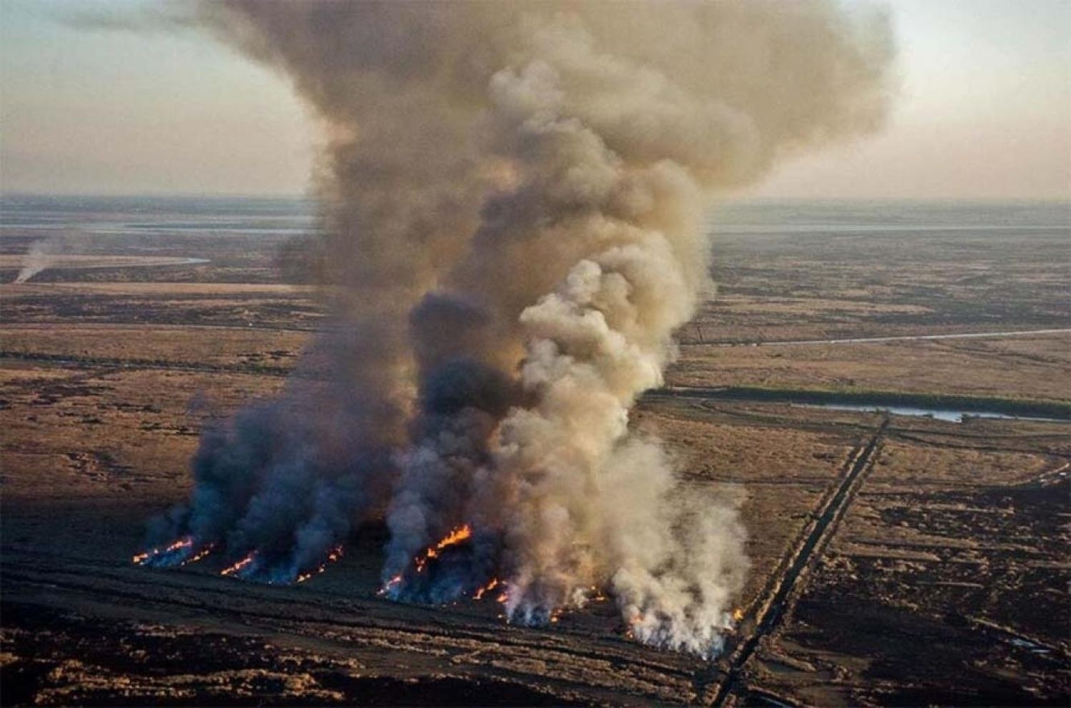 Buscan que se puedan vender las tierras afectadas por incendios forestales