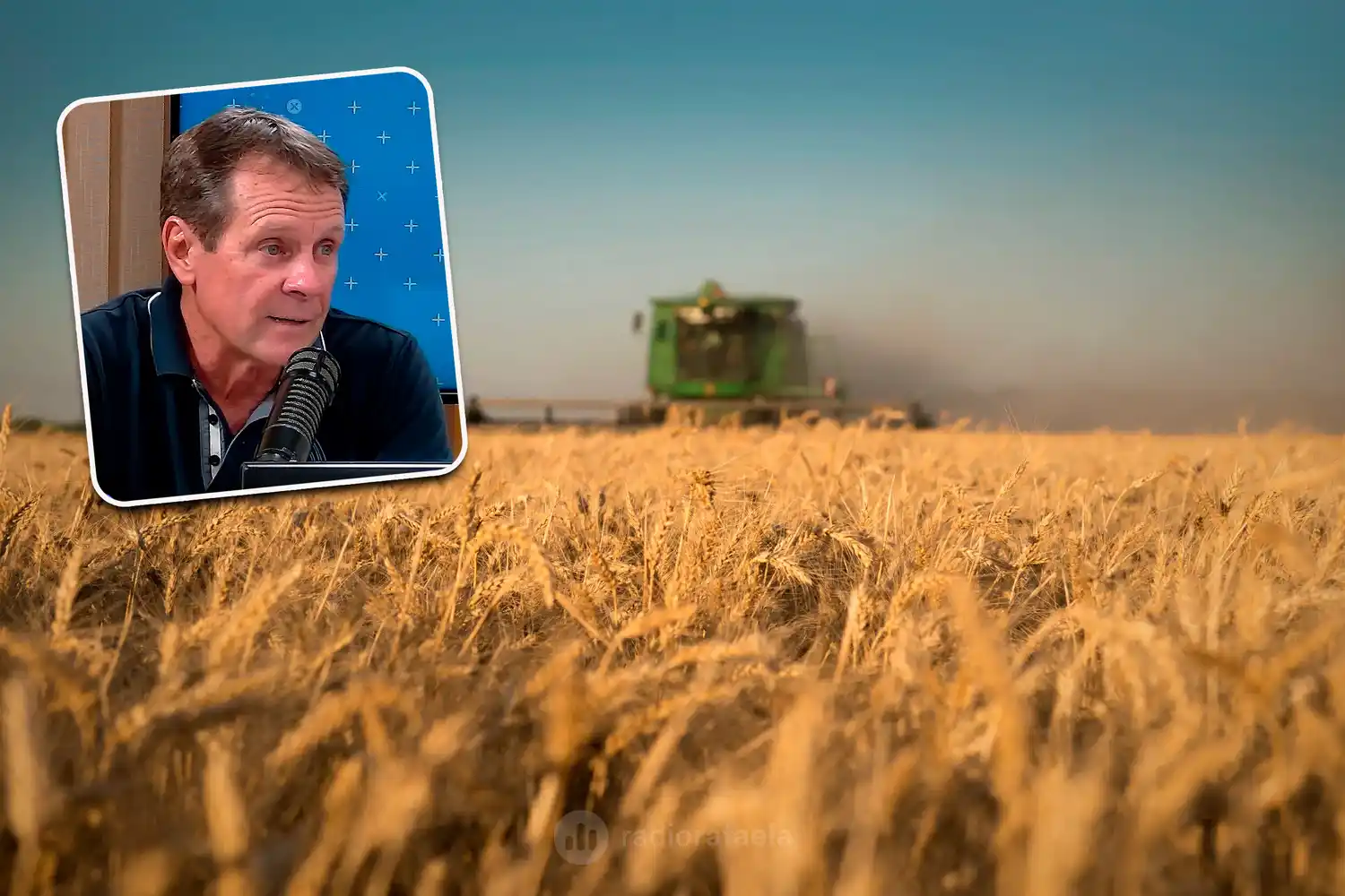 El clima acompañó y los cultivos responden: buenas perspectivas para la campaña agrícola en la región