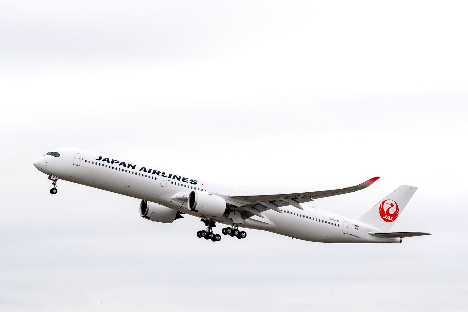 Japan Airlines sufre ciberataque: decenas de vuelos con demoras y cancelaciones