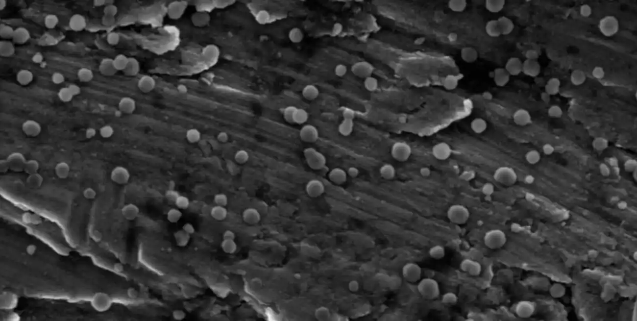 El proyecto interinstitucional desarrolló hidrogeles reciclables basados en la nanofiltración.