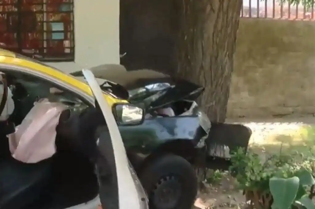 Rosario: intentaron asaltarlo, forcejeó con los delincuentes y terminó estrellado contra un árbol