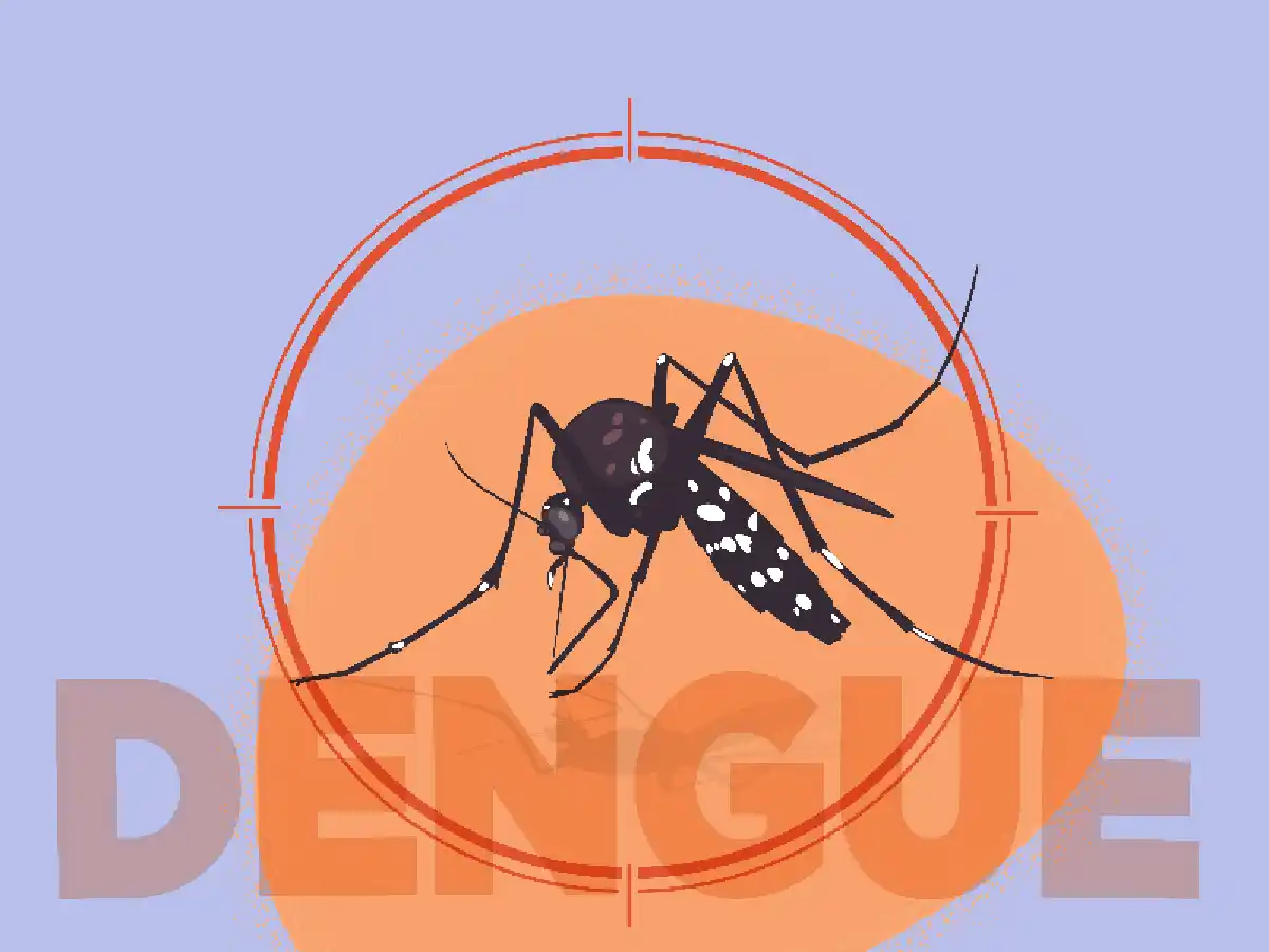 Siguen bajando los casos de dengue en Córdoba: 33 en la última semana