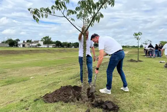Articulación institucional y arbolado urbano