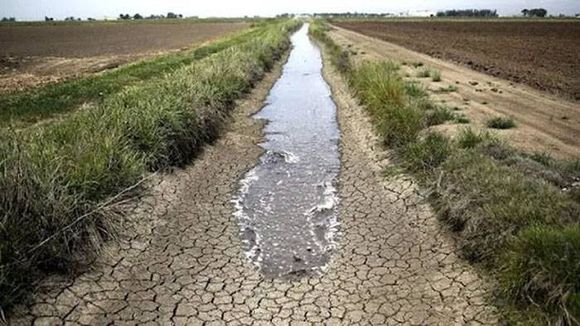 El campo entrerriano y una de las campañas más críticas de los últimos 50 años