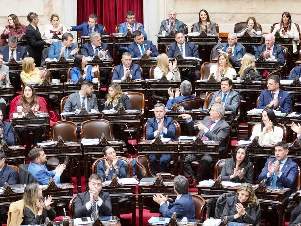 La prórroga de la Emergencia en Discapacidad llega a Diputados entre reclamos y diferencias con el Ejecutivo