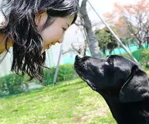 Señales para medir el amor de un perro