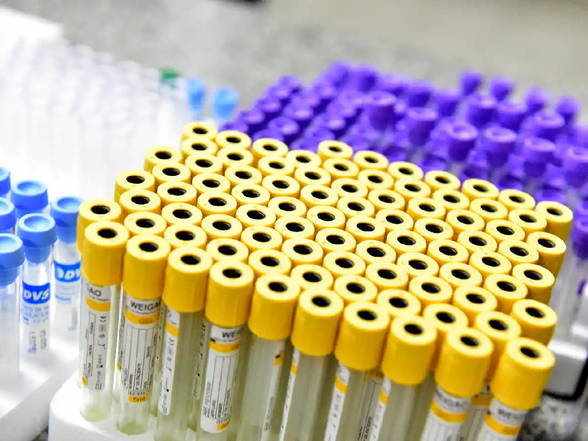 Dengue: el paso a paso del protocolo  que se activa ante un caso sospechoso