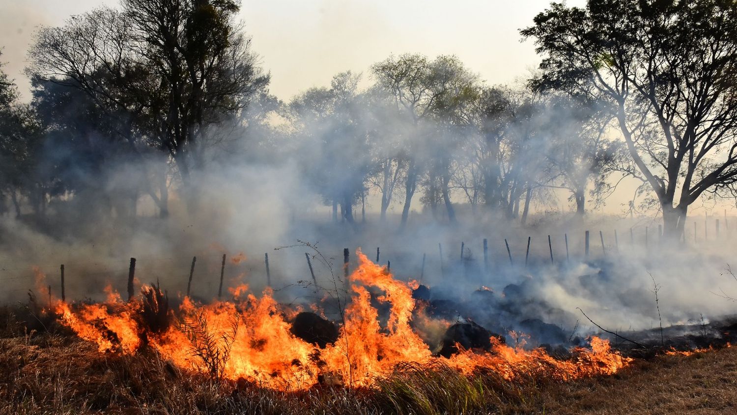 Brindan recomendaciones para prevenir incendios