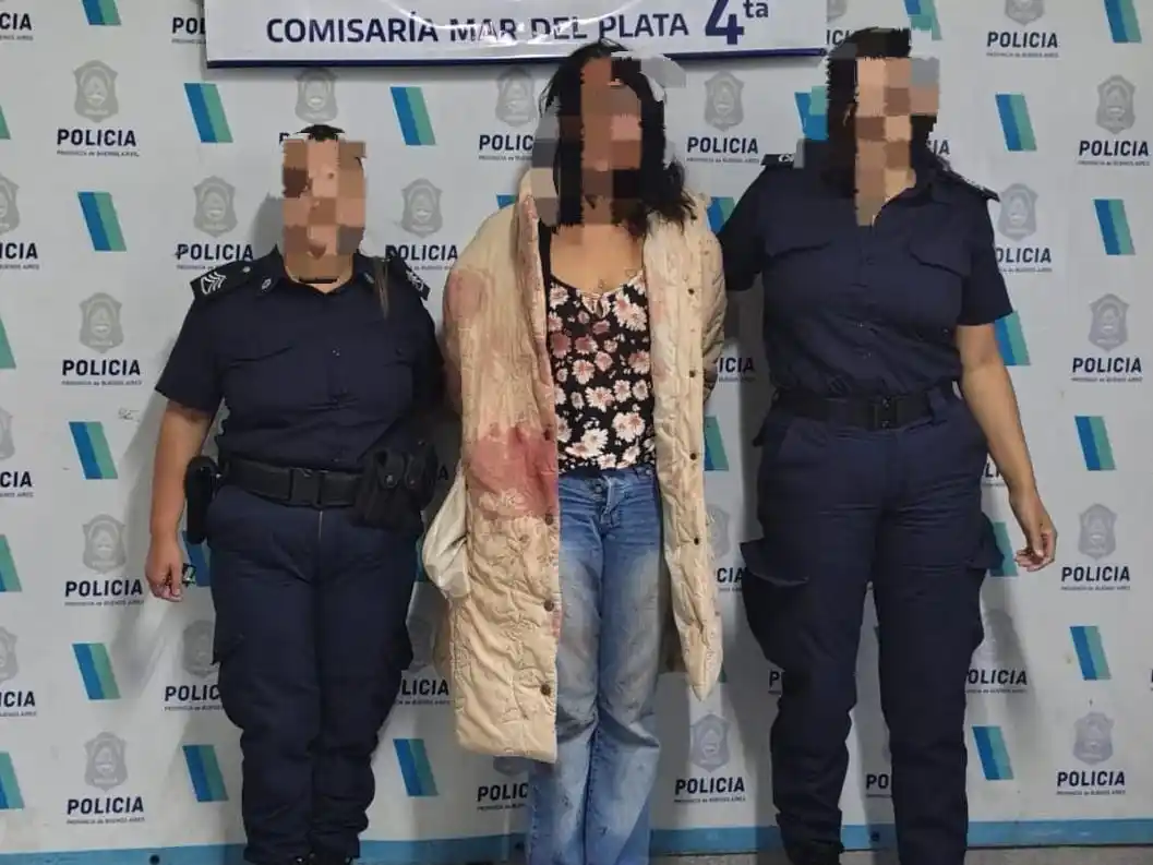 La imputada ingresó al domicilio con la llave de su hijo.