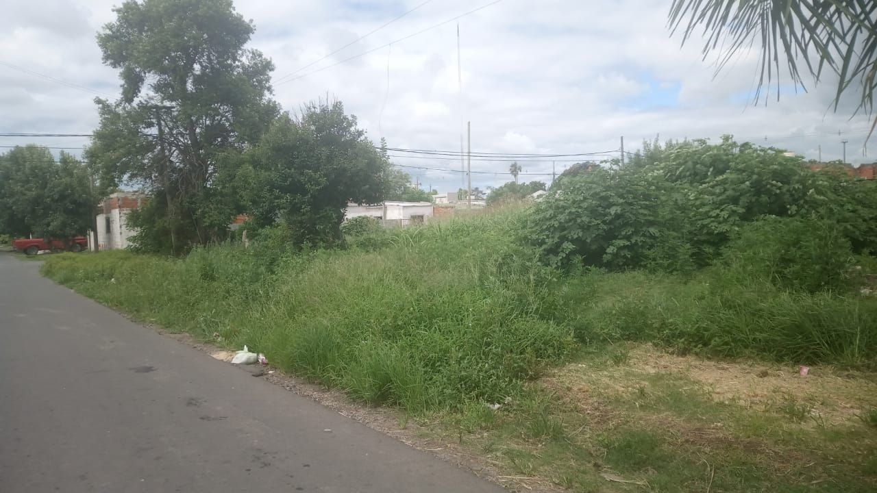 Baldío de Rivadavia e Italia: “Hay ratones y mucha basura”