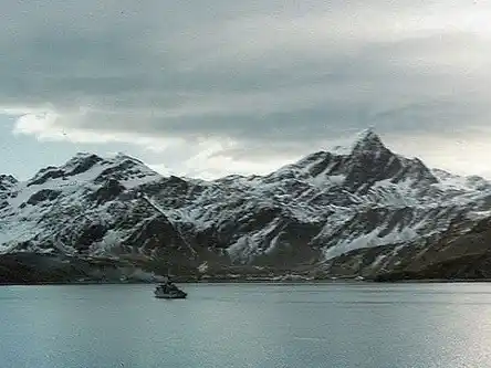 Un hecho histórico poco recordado: la recuperación de las Islas Georgias del Sur