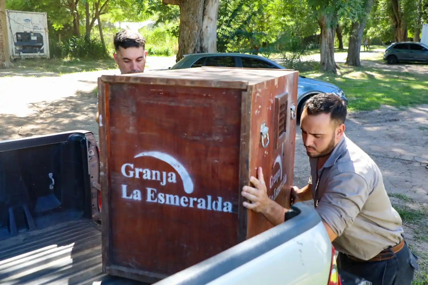 Personal de Rescate en plena tarea.