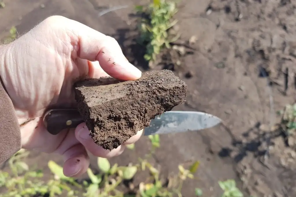“Alerta temprana” para cuidar los suelos productivos del país