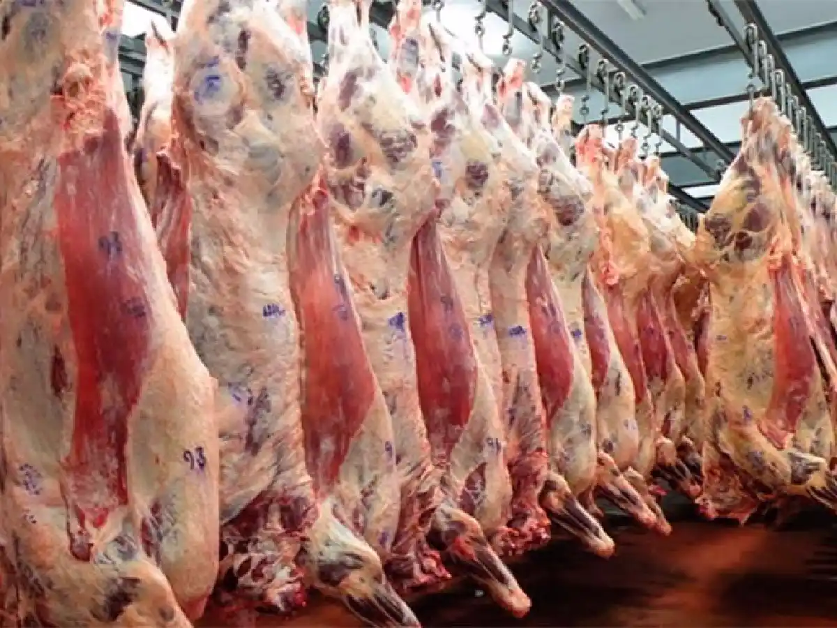 En dos años la exportación de carne vacuna creció 57% 
