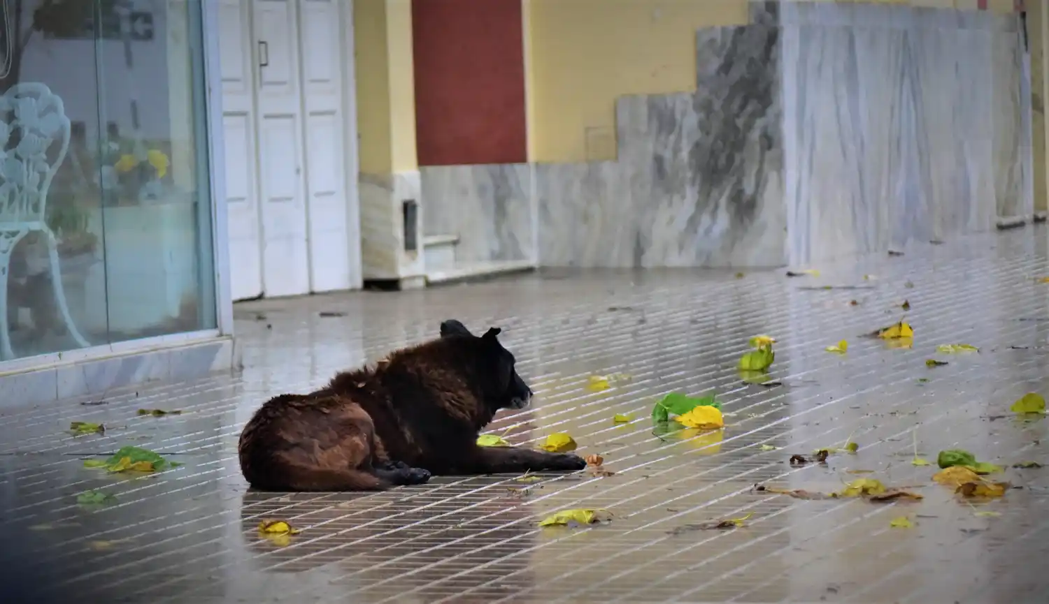 Siguen las precipitaciones en la ciudad