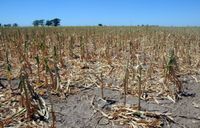 Piden medidas de alivio para productores afectados por la sequía que compraron maquinaria agrícola