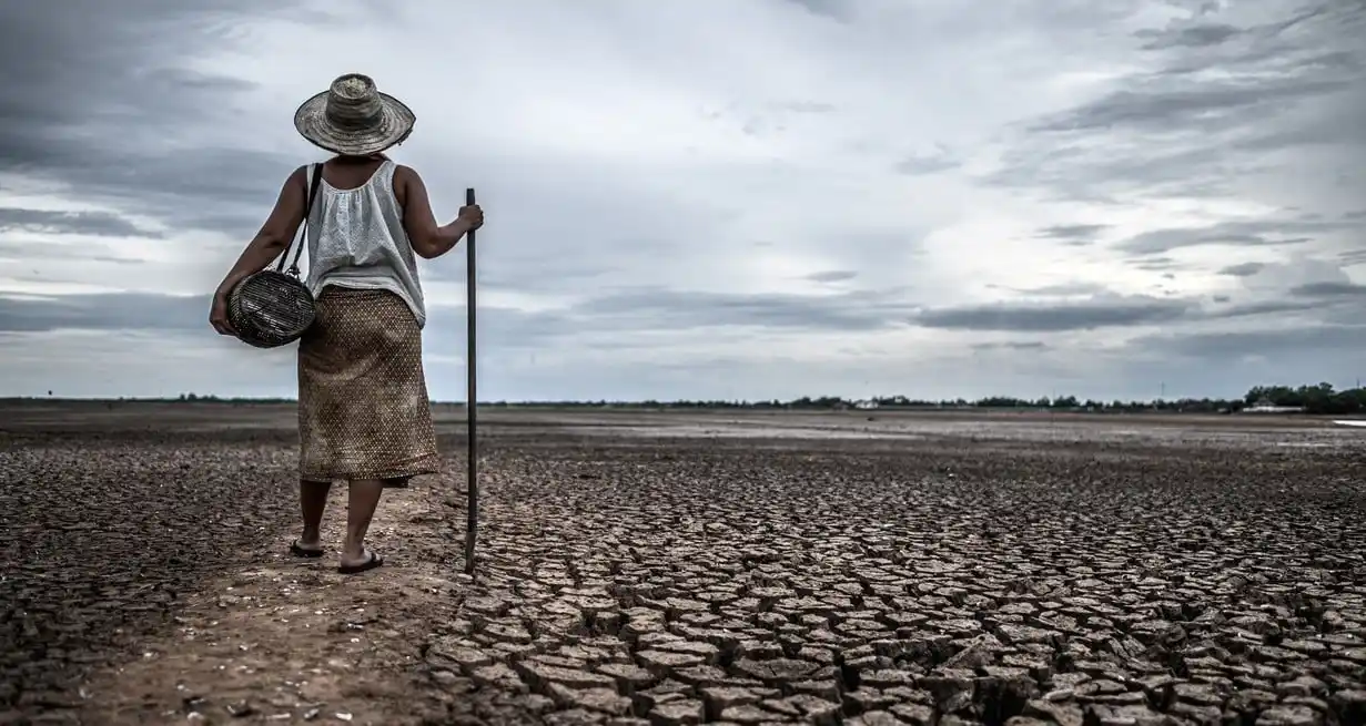 Un observatorio europeo confirmó que julio fue el mes más caluroso de la historia a nivel global