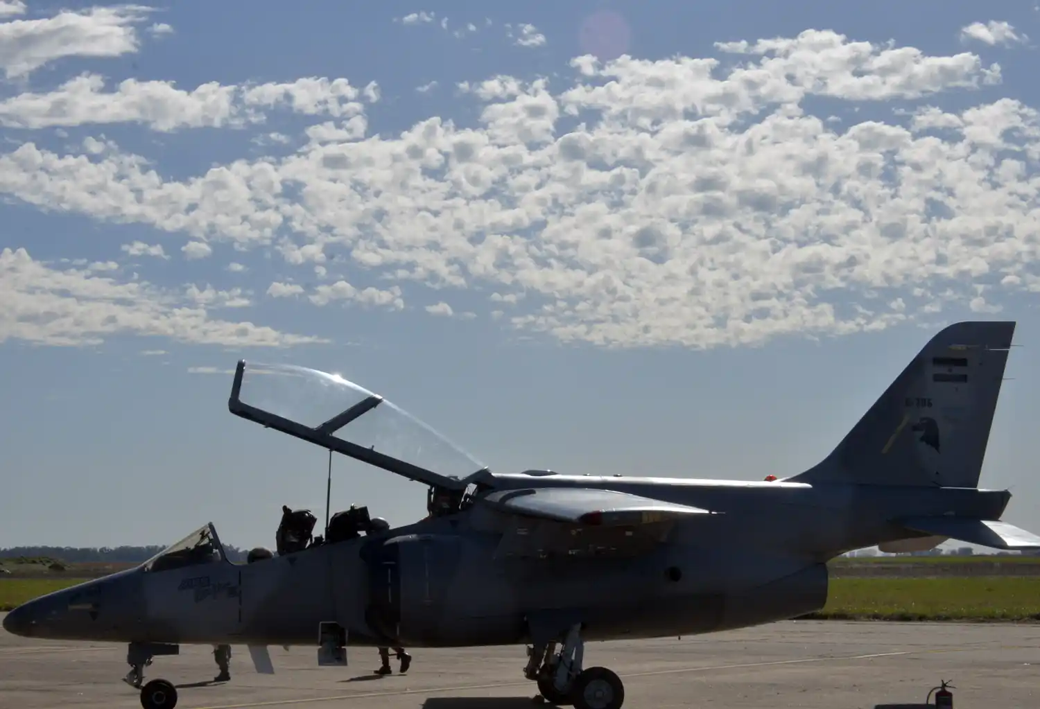 Un avión de la VI Brigada Aérea de Tandil sobrevoló por la 9 de Julio en medio de los festejos