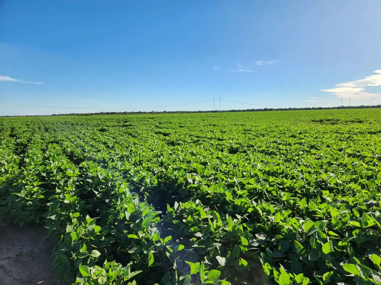 Santa Fe invirtió más de 353 millones de dólares para potenciar al campo