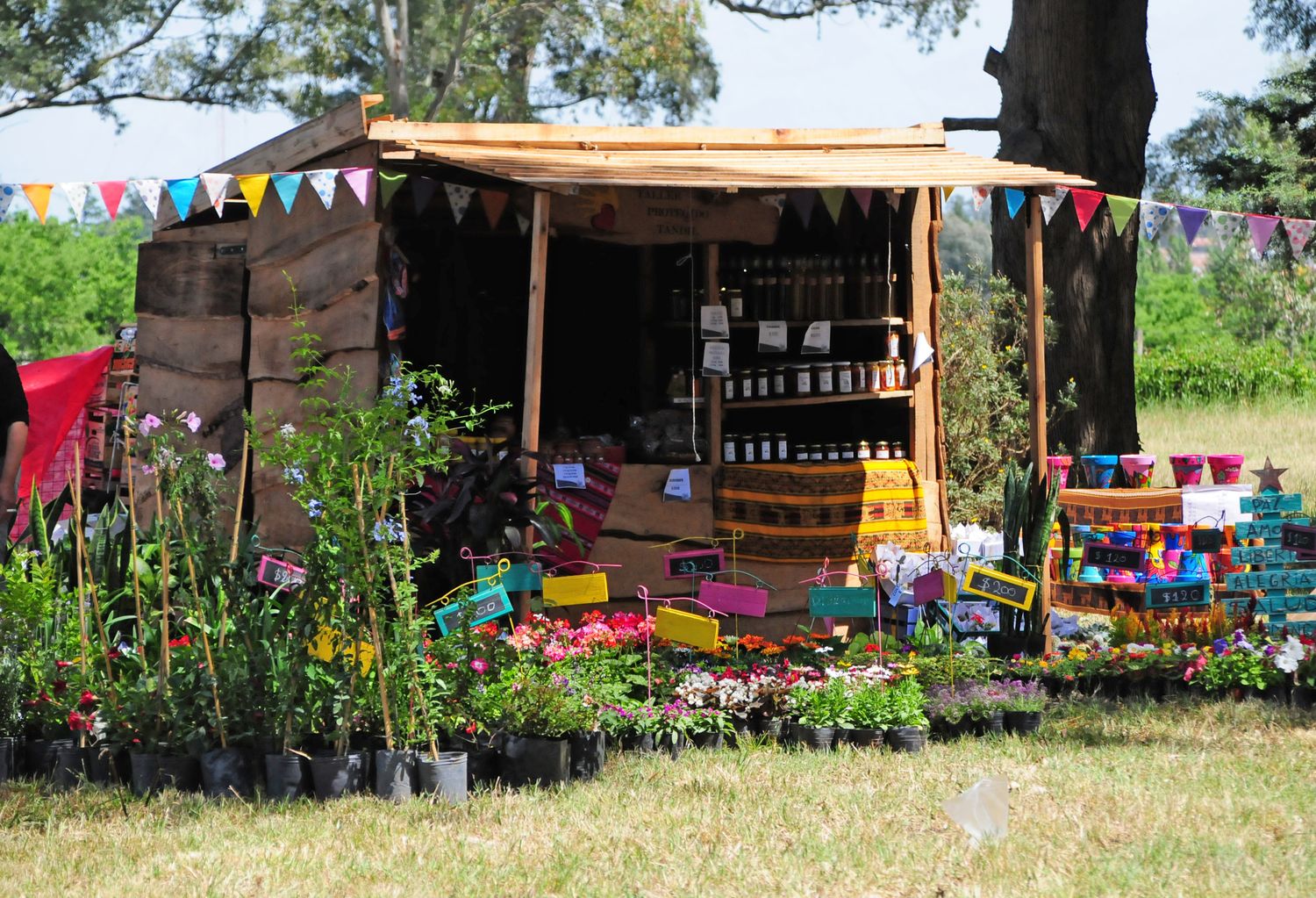 Expo jardin 19-11-22 - 6