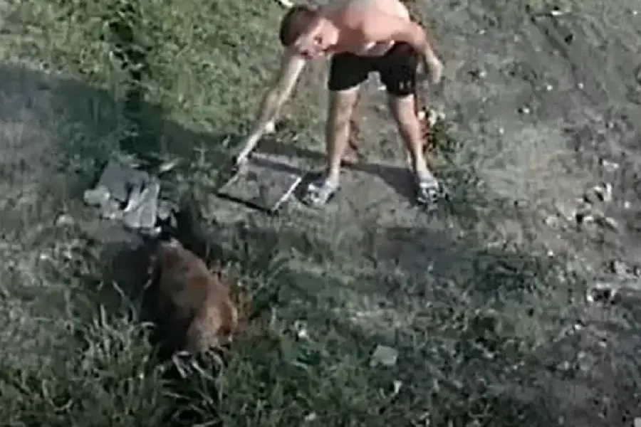VIDEO | Un hombre asesinó al perro que mordió a su mascota