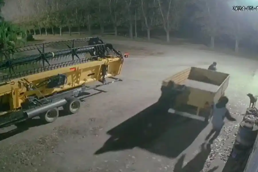 Impunemente, y la vista de las cámaras, robaron un carro desde un establecimiento rural